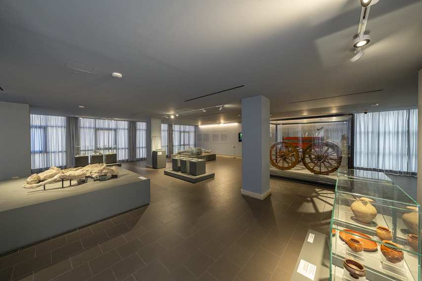 Interior of the Antiquarium in Boscoreale