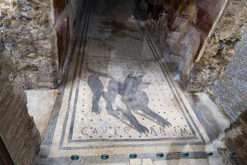 Mosaic with dog and "Cave Canem" inscription in the House of the Tragic Poet in Pompeii