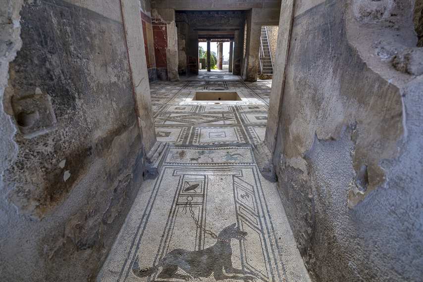 Black dog mosaic in the House of Paquius Proculus in Pompeii