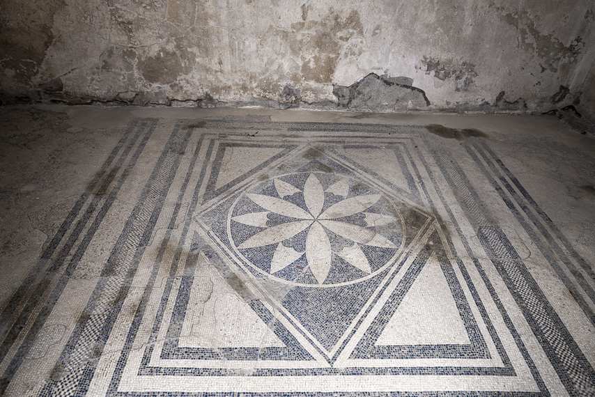 Black and white geometric mosaic with floral pattern in the House of Geometric Mosaics in Pompeii