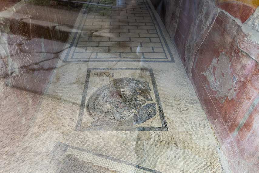 Mosaic of the wounded bear with the inscription "HAVE" in the House of the Wounded Bear in Pompeii