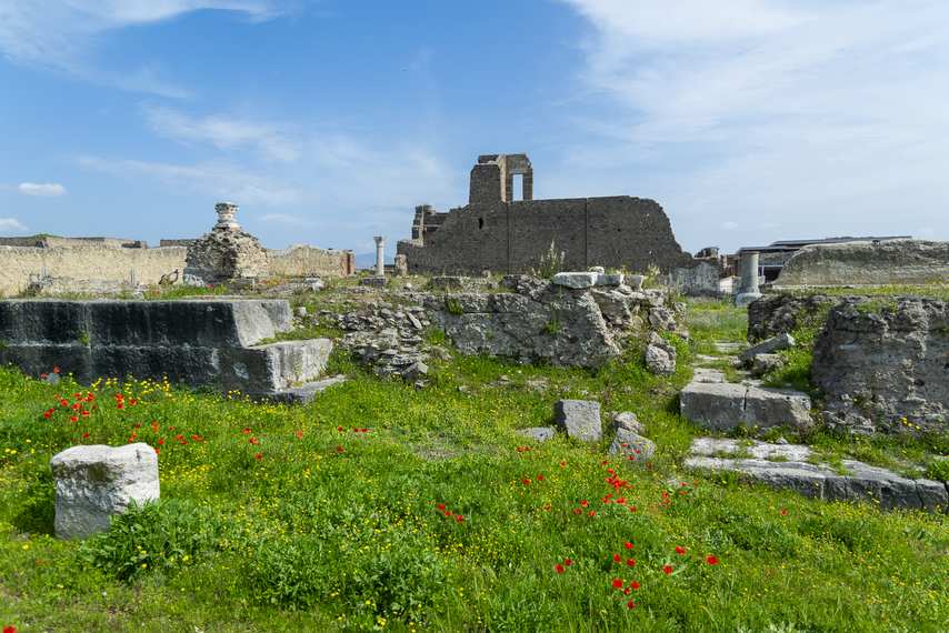 Wide view of the Temple of Venus in Pompeii among wildflowers