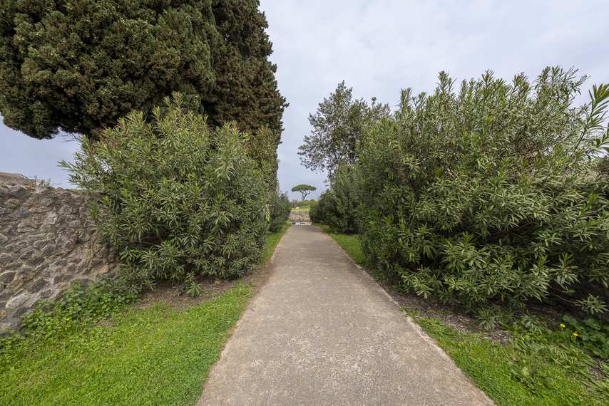 Allée avec végétation dans la Maison de Julia Felix à Pompéi