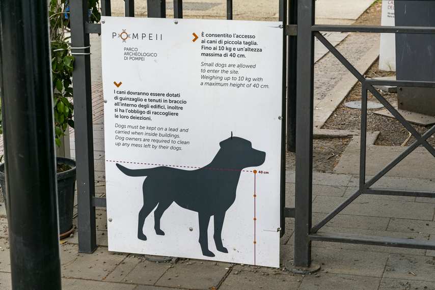 Informational sign on access rules for dogs at the Pompeii Archaeological Park