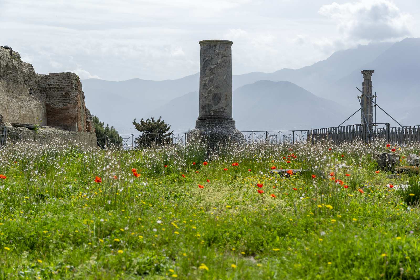 Colonne de marbre du sanctuaire de Vénus à Pompéi au milieu de fleurs printanières