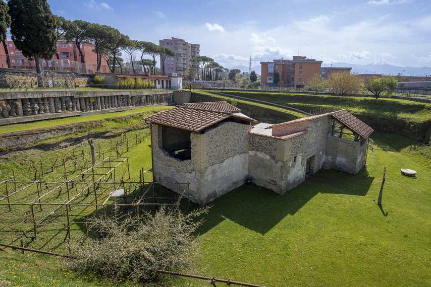 View of Villa Regina in Boscoreale with vineyard and modern buildings in the background