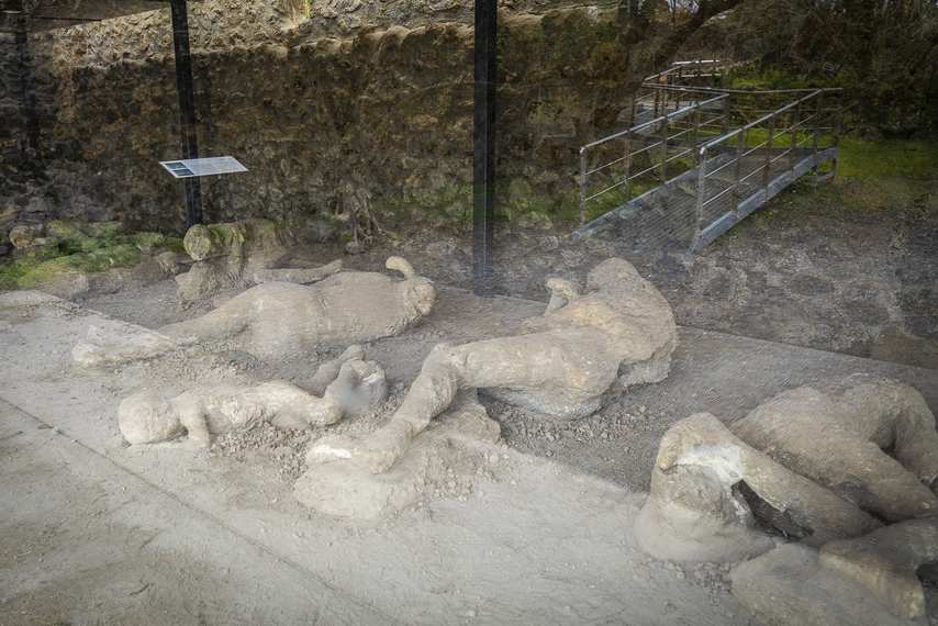 People petrified by the eruption of Vesuvius preserved in Pompeii